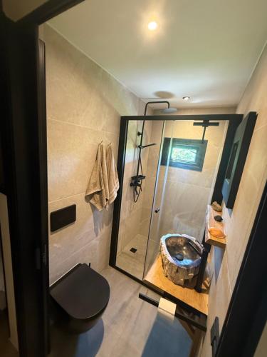 a small bathroom with a shower and a toilet at Het Kleine Genoegen in Heelweg