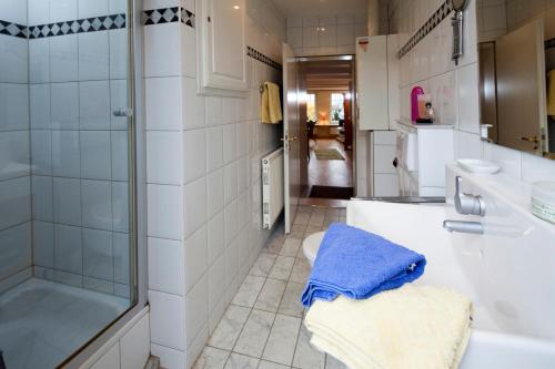 ein Bad mit einer Dusche, einem WC und einem Waschbecken in der Unterkunft Hafenambiente in Husum