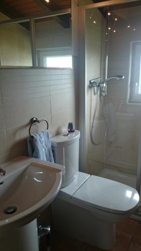 a bathroom with a toilet and a shower and a sink at Ferienhaus Bambach in Fladungen