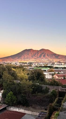 Vista su Napoli e Vesuvio 10 min aereop e stazione
