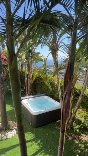 a swimming pool in a garden with palm trees at Villa Panorama Isola di Ischia in Casamicciola Terme