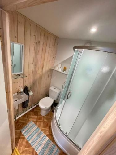 a bathroom with a shower and a toilet at Pāvilostas Piparmētras in Pāvilosta