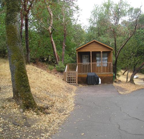 a small cabin in the middle of a forest at Russian River Camping Resort One-Bedroom Cabin 2 in Cloverdale