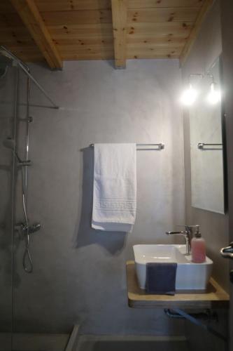 a bathroom with a sink and a shower and a towel at To Katinaki in Trikeri