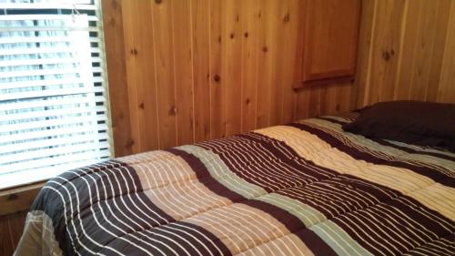 a bed in a wooden room with a window at Snowflower Camping Resort Cabin 4 in Emigrant Gap