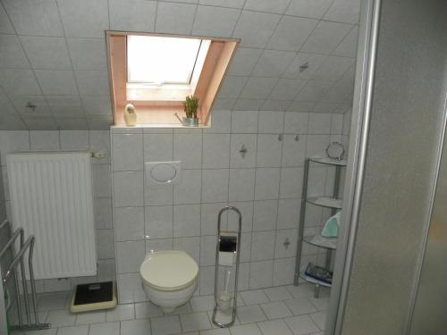 魏森斯塔特的住宿－Ferienwohnung am Weissenstädter See，一间带卫生间和窗户的小浴室