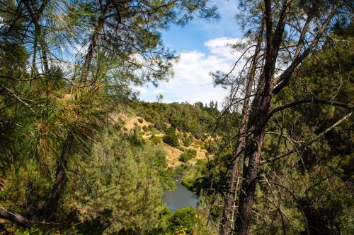 Blick auf einen Fluss durch die Bäume in der Unterkunft Russian River Camping Resort Studio Cabin 4 in Cloverdale