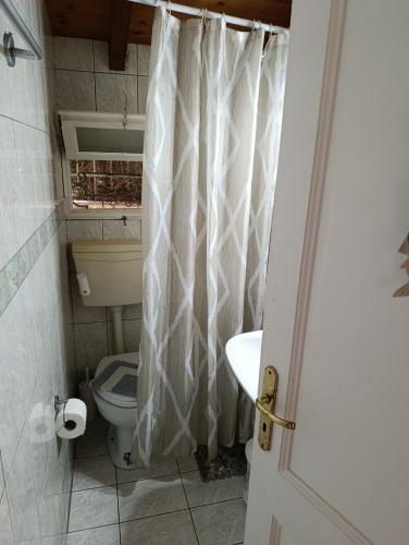 a bathroom with a toilet and a shower curtain at Casa Natasa in Oziás