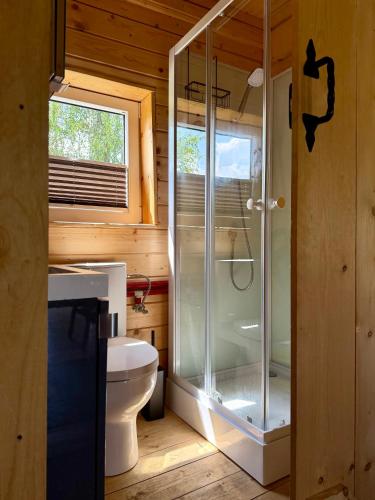 a bathroom with a glass shower and a toilet at Stodoła in Nieledwia