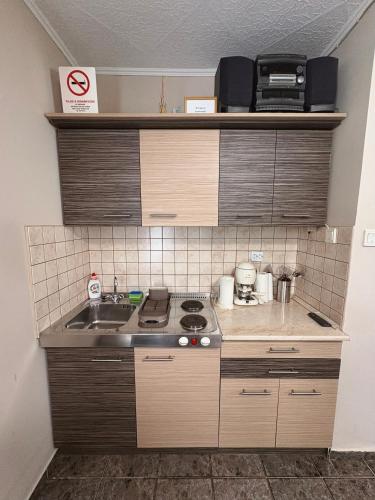 a small kitchen with a stove and a sink at Vank Apartman Barcs in Barcs