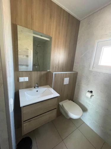 a bathroom with a sink and a toilet and a mirror at Waddenlodge Premium in Harlingen