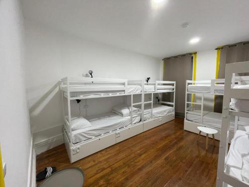 owls hostel