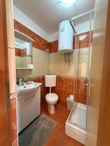 a bathroom with a toilet and a sink and a shower at Apartmani Anđelo, Tommy, Leon in Bibinje