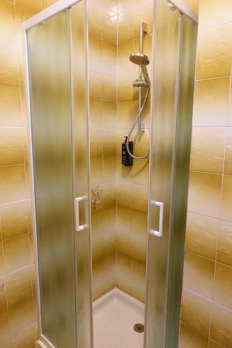 a shower with a glass door in a bathroom at Hotel Nemo in Misano Adriatico