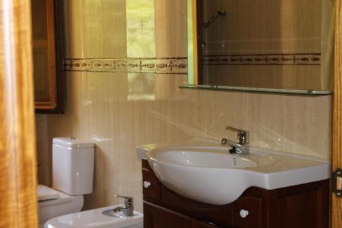 a bathroom with a sink and a toilet at Los Jazmines de la Vega in La Vega