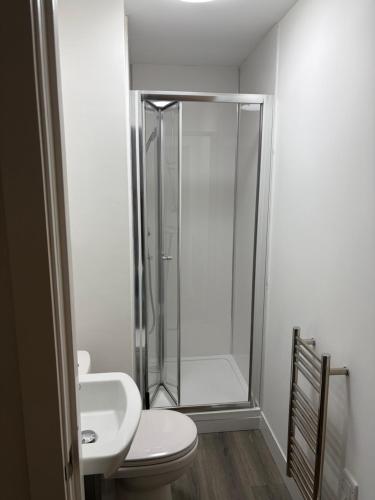 a bathroom with a shower and a toilet and a sink at 505 Broadway residence in Bradford