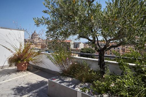 Delmirani's Book Apartments - Vatican View photo 213