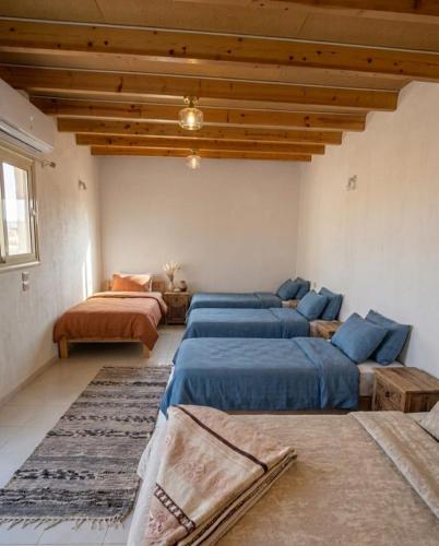 a bedroom with two beds and a rug at SafeZone Guesthouse in Dahab