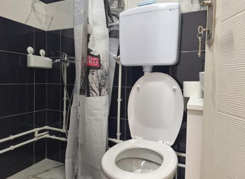 a bathroom with a white toilet and a shower at Hostel JAPI in Aleksinac