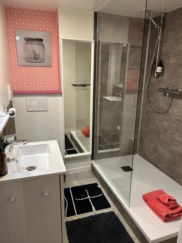 a bathroom with a shower and a sink at Chez Gaston in Spa