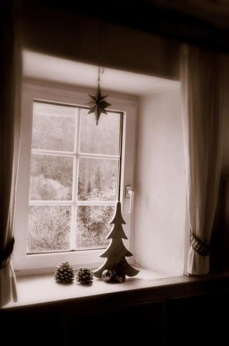 a window with a christmas tree on a window sill at Romantische Ferienhütte Nationalpark Kalkalpen, sonnig, 2 Schlafzimmer, Wlan in Kleinreifling