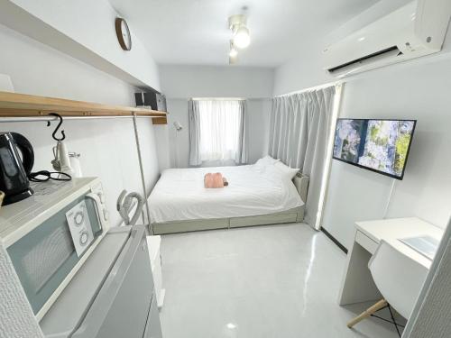 SC Hotel Kameari #1111 - Newly Renovated High Floor City View 2min to Mall 5min to Station Disney Access