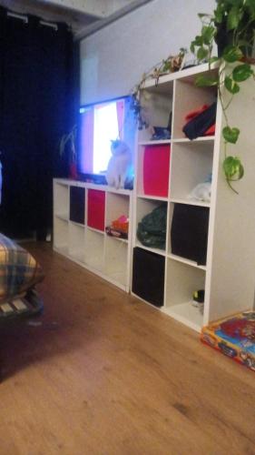 loft