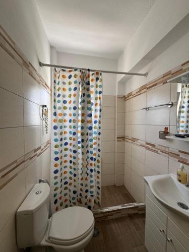 a bathroom with a shower with a toilet and a sink at For a good hospitality in Souvala
