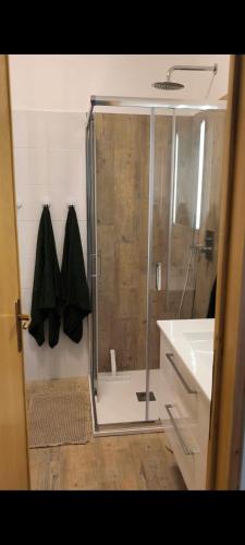 a shower with a glass door in a bathroom at Apartament BARBARA in Branzi