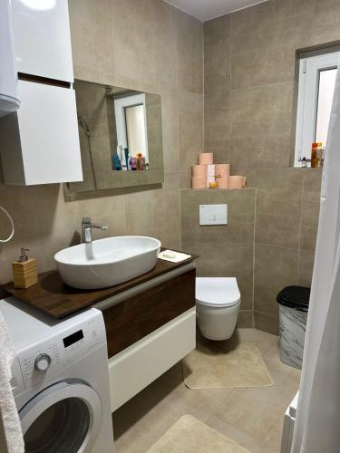 a bathroom with a sink and a toilet and a washing machine at Te Pishat in Brezovica