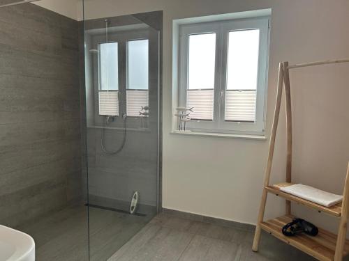 a bathroom with a shower with a glass shower stall at Reusenhaus Nord in Breege