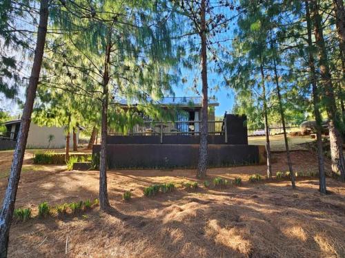 a house in the woods with trees at Ukutula Resort in Dullstroom