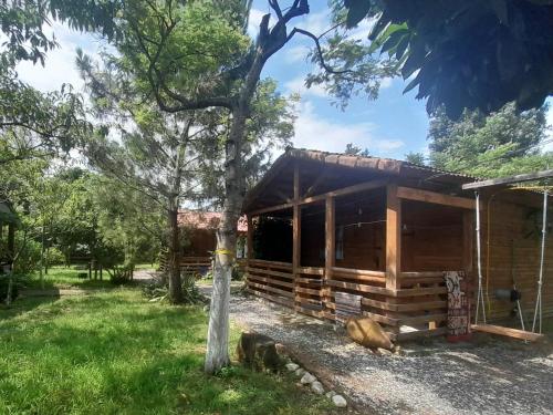 a cabin with a tree in front of it at Tiny houses Genacvale in Martvili