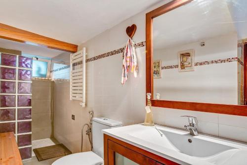 a bathroom with a sink and a toilet and a shower at Casa del Callejon in Tejeda