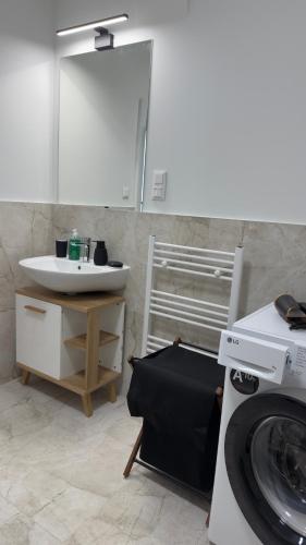 a bathroom with a washing machine and a sink at AH Residence Anička in KoÅ¡ickÃ© KÃºpele
