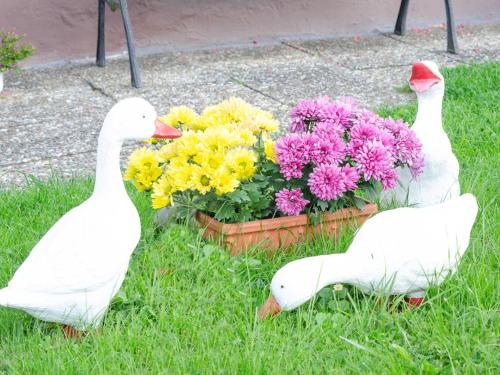 two white ducks sitting in the grass next to flowers at Ferienwohnung Hertel in Mistelgau
