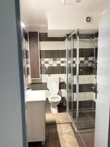a bathroom with a toilet and a sink and a shower at BL Urban Stay in Starčevica