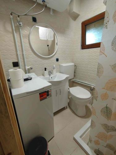 a bathroom with a toilet and a sink and a mirror at Durmitor Forest Retreat in Žabljak