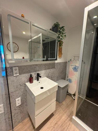 a bathroom with a white sink and a mirror at Eibisch Apartments in Passau