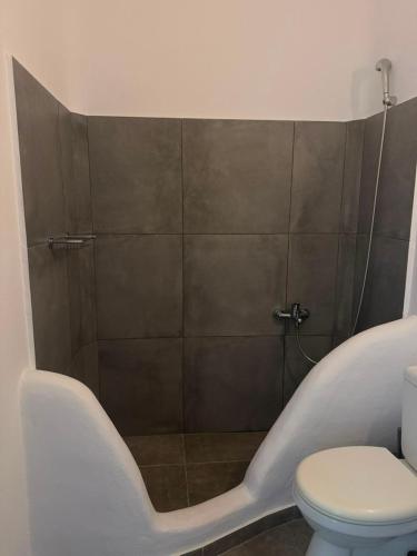 a shower in a bathroom with a toilet and a tub at Villa Viktoria in Elia beach, Mykonos in Mikonos