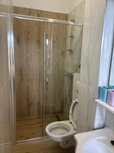 a bathroom with a shower with a toilet and a sink at Tramontana apartments in Dugobabe