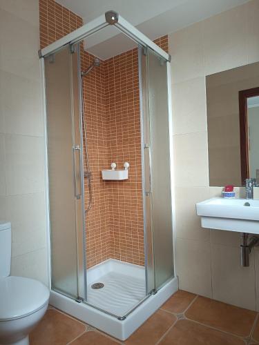 a shower in a bathroom with a toilet and a sink at Casa Alonso in Narón