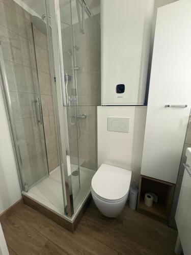 a bathroom with a shower and a toilet at Refuge 1000, studio cosy in Mijoux