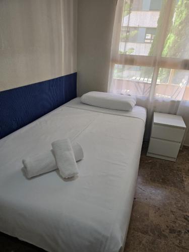 APARTAMENTO en Arena Riog y ciudad de las Artes