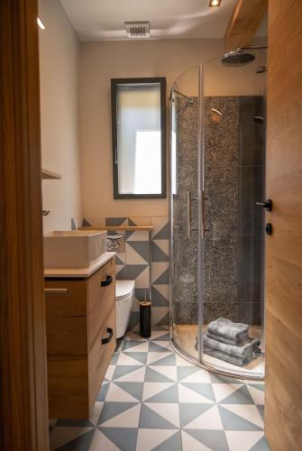 a bathroom with a shower and a sink at Petit balcon du lac in Lathuile