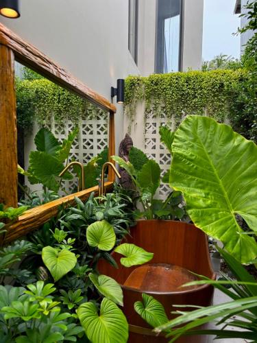 a garden with green plants and a water fountain at Crown Chaloklum in Chaloklum
