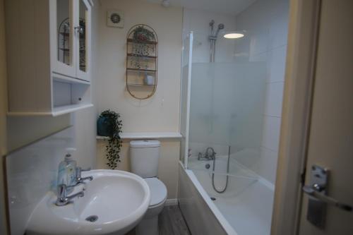 a bathroom with a sink and a toilet and a shower at Two Bed Flat Sea view Old town Hastings in Hastings