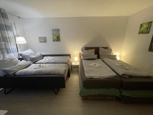 a room with two beds in a room at Appartement am Brunnenplatzl mit Bademantelzugang in Bad Griesbach