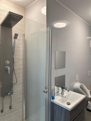 a bathroom with a shower and a sink at Modernes Studio mit Küche, WLAN, Parkplatz in Dingolfing