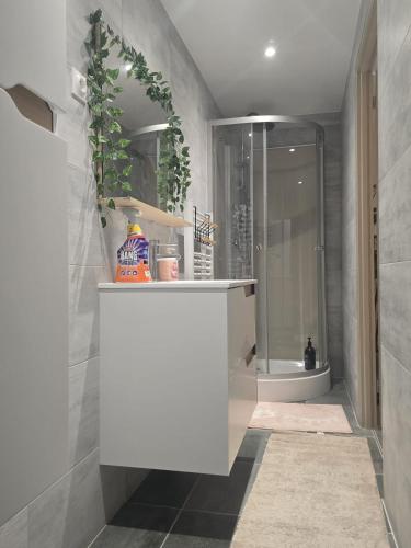a bathroom with a shower and a white cabinet at L'instant cosy climatisé 2 in Sisteron